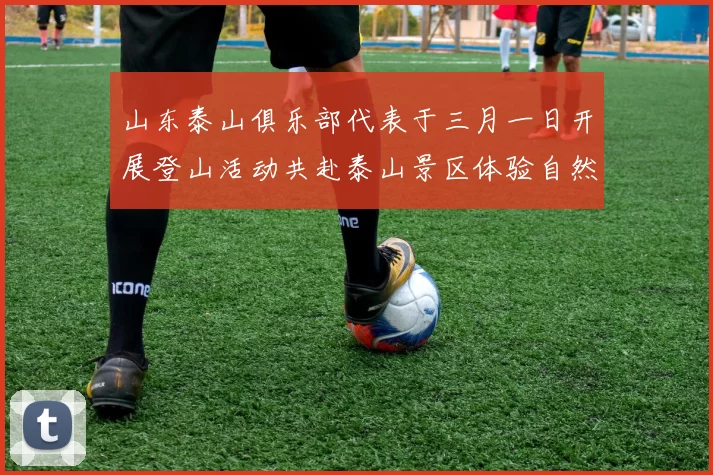 山东泰山俱乐部代表于三月一日开展登山活动共赴泰山景区体验自然之美